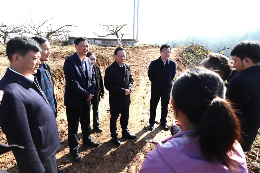 1704184182755982.jpg 1704184182755982.jpg