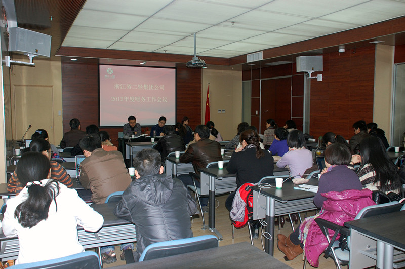 集團(tuán)公司召開2012年度財(cái)務(wù)工作會議