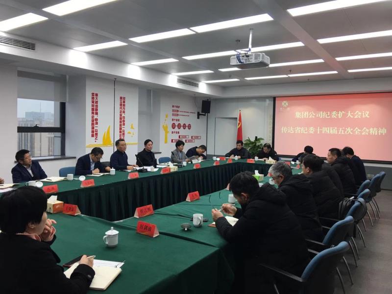 集團公司紀(jì)委召開全體（擴大）會議學(xué)習(xí)傳達(dá)中央紀(jì)委和省紀(jì)委全會精神